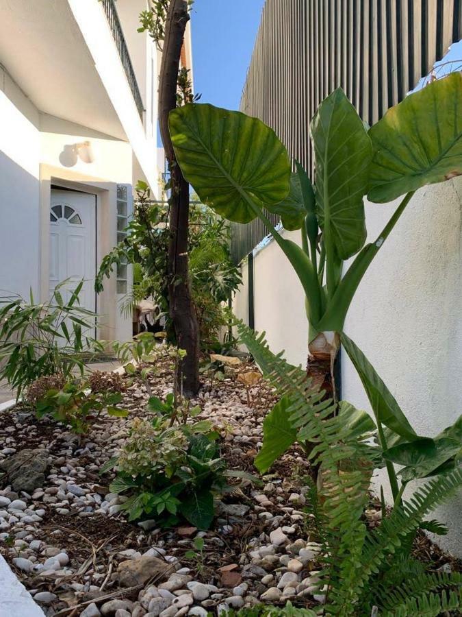 House Blz Villa ชาร์เนกา ภายนอก รูปภาพ